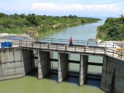 La laguna de Chapala enfrenta un déficit de agua importante hasta el día de hoy esta a 50.9 por ciento de su capacidad. ARCHIVO  /