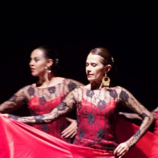 Leticia Cosió deleita con sus ''Pasiones en Rojo''