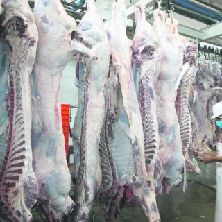 Promueven en Jalisco 27 establecimientos TIF