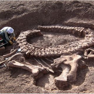 Unos restos en el Pirineo demuestran la extinción súbita de los dinosaurios