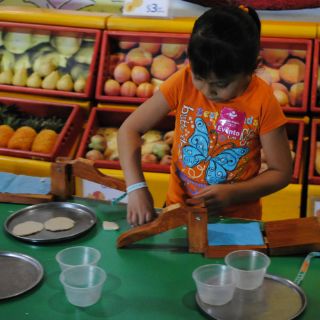 Guía Pingo 1 de agosto