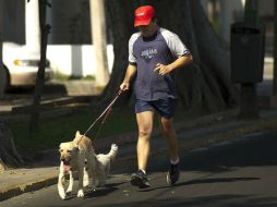 El reglamento contempla que toda persona que transite con su mascota por la vía pública, deberá llevarla sujeta con correa. ARCHIVO  /