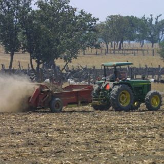 México, en ruta para producir transgénicos