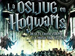 El proyecto ha sido posible gracias a la colaboración de diversas organizaciones. ESPECIAL  /