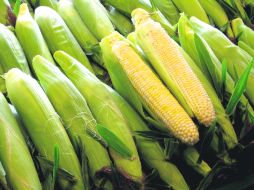 Altas cotizaciones.- La sequía afectó el nivel de producción del grano en Estados Unidos con la consecuente elevación del precio.  /