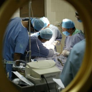 Prevén realizar 260 trasplantes de riñón en Jalisco