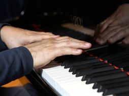 Un poco de funk, bossa, timba, son, entre otros ritmos, estuvieron a cargo del cuarteto cubano, en el Lunario. ARCHIVO  /