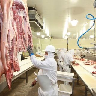 Las oportunidades para la carne de cerdo de Jalisco crecen