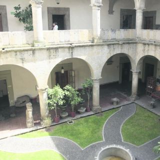 El ser... humano, en exposición