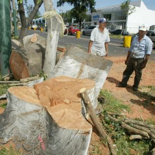 Ayuntamiento va contra comerciantes ecocidas