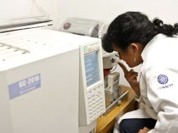 El objetivo de ofrecer apoyos es incrementar la capacidad científica, tecnológica y de innovación y contribuir al desarrollo. ARCHIVO  /