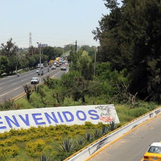 Habrá denuncia por tala ilegal: alcalde de Tlaquepaque