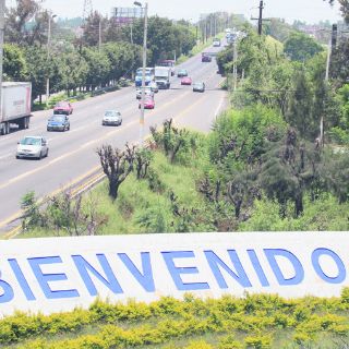 Tlaquepaque reacciona y denuncia las talas... seis meses después
