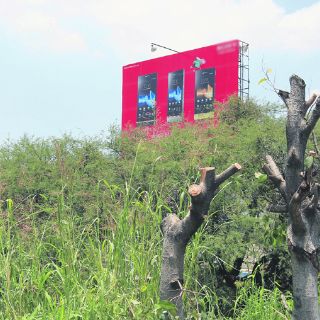 Espectaculares, beneficiarios de la tala de árboles