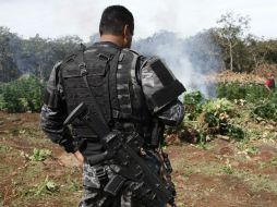 El enervante asegurado fue incinerado en el lugar de la incautación. ARCHIVO  /