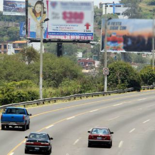 Solución a poda clandestina, omitida por municipios metropolitanos