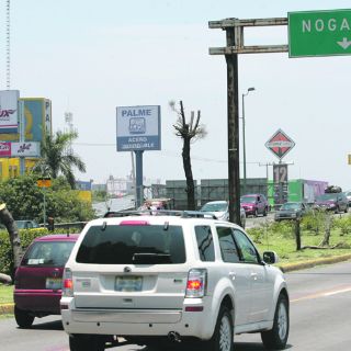 Las podas clandestinas salen a 250 pesos por cada árbol