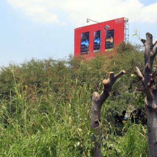 Tlaquepaque y Guadalajara, con menos áreas verdes: experto