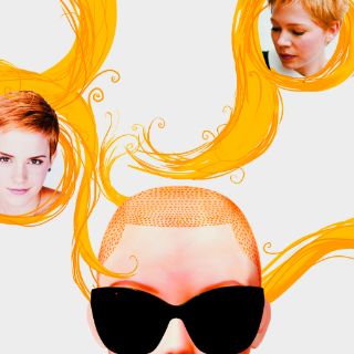 Bellas de Hollywood se despojan de la cabellera