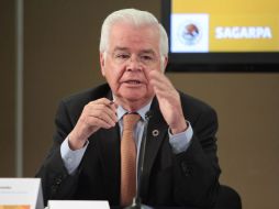 Subsecretario de Desarrollo Social y Humano de SEDESOL, Luis Mejía Guzmán. ARCHIVO  /