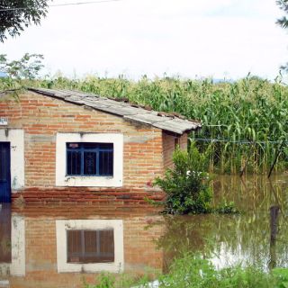 Desasolvan drenajes en parcelas de Tlaquepaque