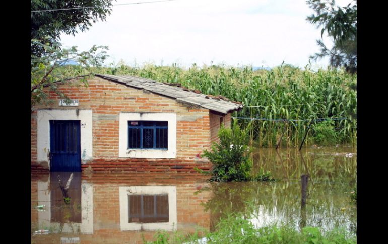 Las parcelas del Valle de Toluquilla son unas de las más afectadas por las inundaciones que ha dejado este temporal de lluvias. ARCHIVO  /