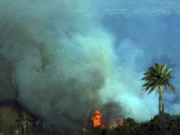 Algunas de las islas españolas más famosas por su atractivo turístico son las que han sufrido más los embates de los incendios. ARCHIVO  /
