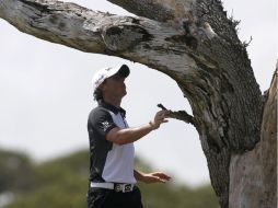 A ver. Rory Mcllroy busca su pelota, que se habia extraviado en el árbol. REUTERS  /