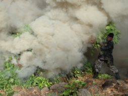 Un policía realiza la quema de la droga decomisada. ESPECIAL  /
