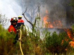 Varios incendios se declararon en toda España desde el viernes bajo el doble efecto de la sequía y las altas temperaturas. EFE  /
