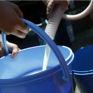 Lecheros 'golondrinos', riesgo de salud en Zapopan