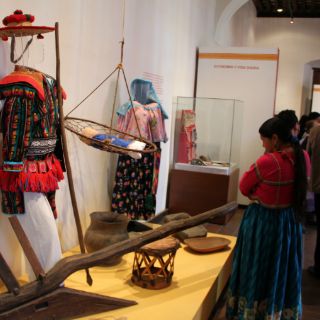 Guía Pingo 15 de agosto