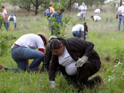 Las acciones ambientales impactará positivamente una superficie similar a 226 veces el Parque Metropolitano. ARCHIVO  /