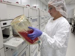 Este descubrimiento ayudará a conocer a fondo infecciones. ARCHIVO  /