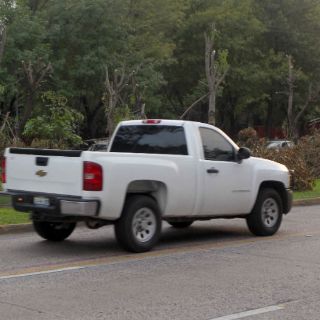 Guadalajara prepara sanciones más fuertes contra tala ilegal