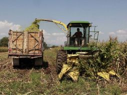 Los diputados electos del sector campesino del PRD coinciden en un modelo alternativo para el campo mexicano. ARCHIVO  /