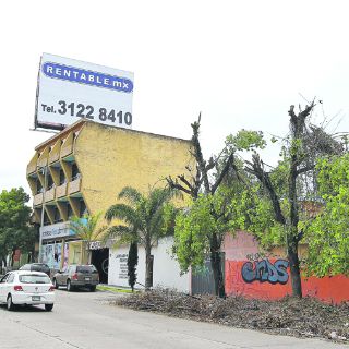 Piden que clientes de espectaculares se pronuncien por talas clandestinas