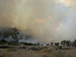 Una docena de incendios en California provocaron evacuaciones y movilizaciones de miles de bomberos. AP  /