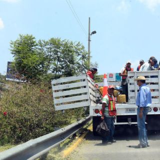 EL INFORMADOR dona 140 fresnos a la ciudad