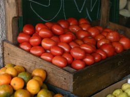 El acuerdo de exportación de jitomate mexicano al mercado estadounidense está en riesgo. ARCHIVO  /