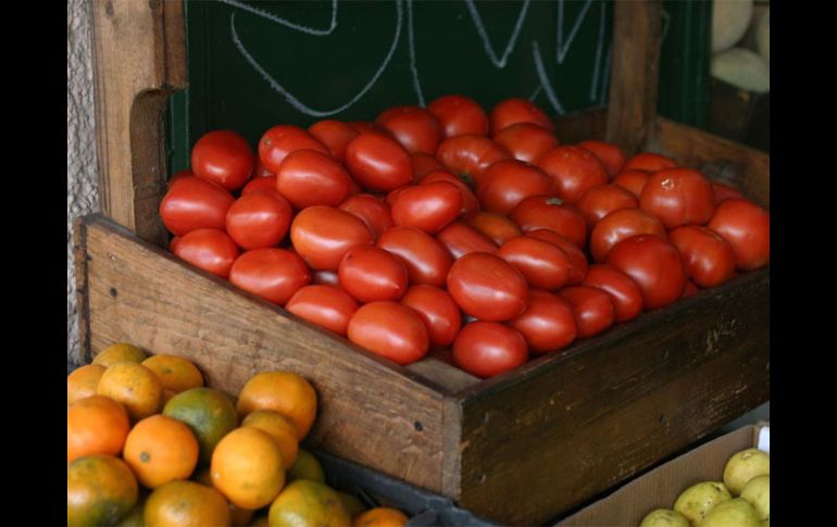 El acuerdo de exportación de jitomate mexicano al mercado estadounidense está en riesgo. ARCHIVO  /