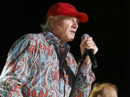 The Beach Boys publicará dos recopilaciones de grandes éxitos el próximo 25 de septiembre. ARCHIVO  /