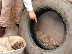 Las llantas son un espacio idóneo para reproducción del mosquito. ESPECIAL  /