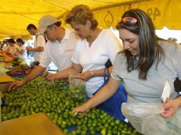 San Martín Hidalgo ha despegado con plantaciones limoneras, lo que supone 600 hectáreas dedicadas a su produción. ARCHIVO  /