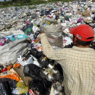 A mayor revoltura, mayor separación: Colectivo Ecologista