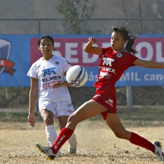 La Copa Telmex está lista