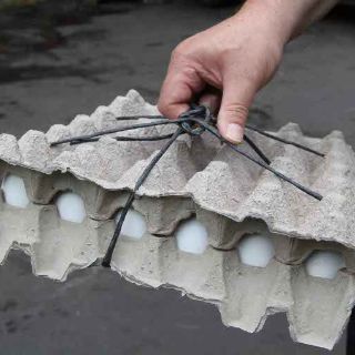 Gobierno está en su derecho de eliminar aranceles en huevo: UNA