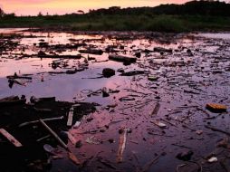 Las grandes cantidades de basura contrastan con la belleza natural de la zona y su diversidad biológica. EFE  /
