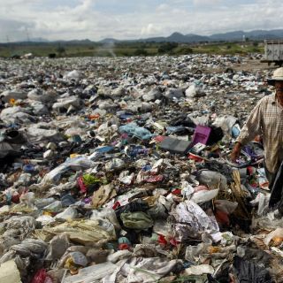 Ganarse la vida, entre moscas y desechos urbanos