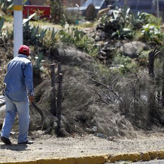 Impulsan sanciones contra abusos en espectaculares